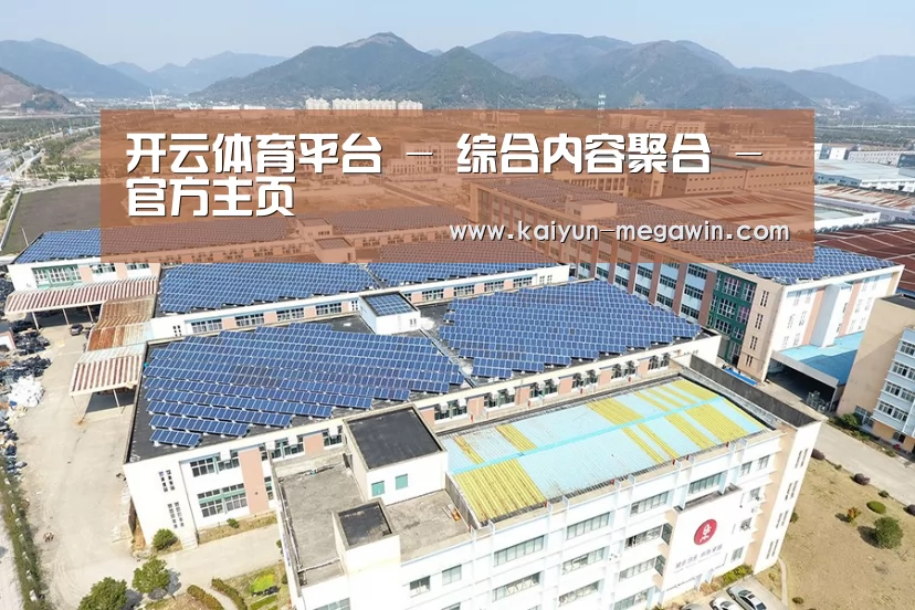 案例展示三