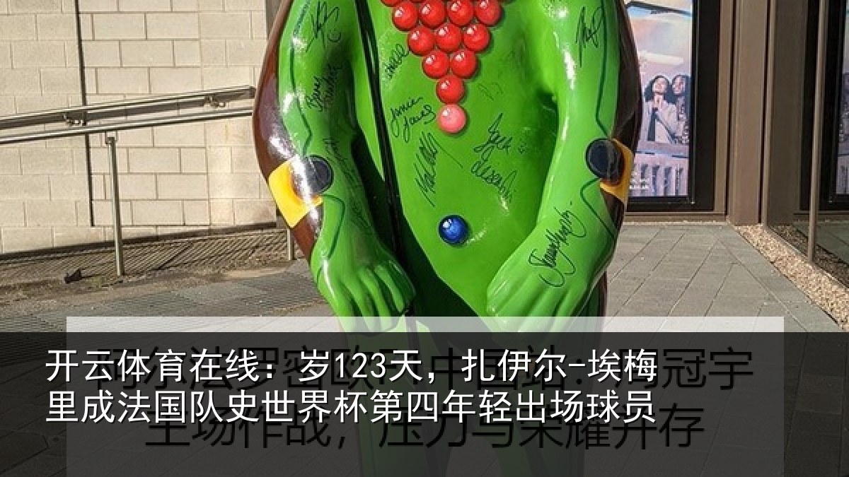 开云体育在线:岁天相关情况国队相关情况出场球员