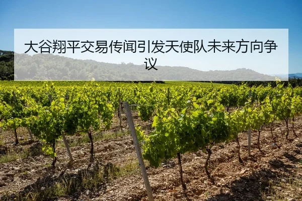 大谷翔平交易传闻引发天使队未来方向争议