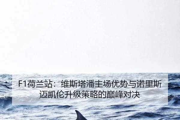 he-lan-zhan-wei-si-ta-pan-zhu-chang-you-shi-yu-nuo-li-si-mai-kai-lun-sheng-ji-ce-lve-de-dian-feng-dui-jue-2-926.jpg